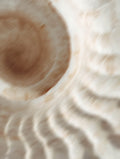 Intuïtief lichaamswerk rond zwangerschap & post-partum